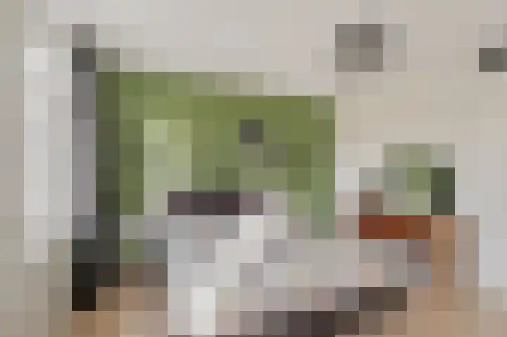 Batua 81 Huissen thumbnail 18