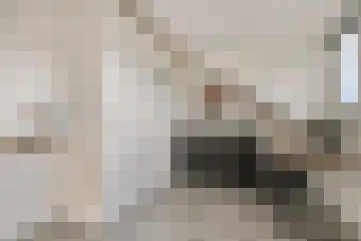 Batua 81 Huissen thumbnail 25