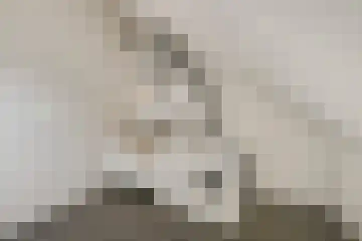 Batua 81 Huissen thumbnail 26