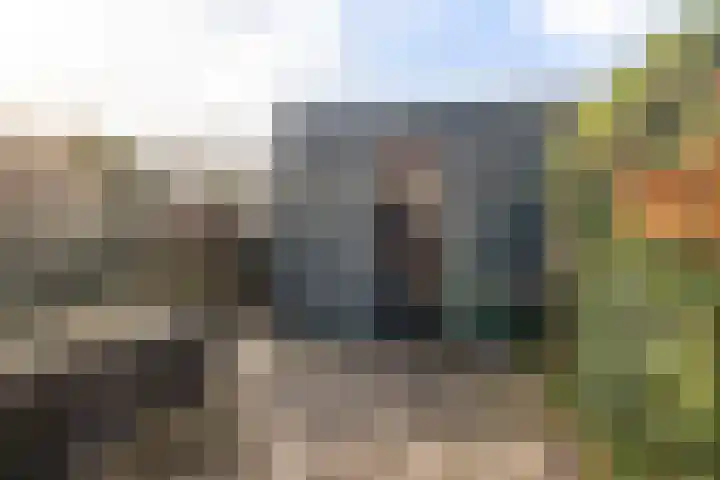 Batua 81 Huissen thumbnail 29