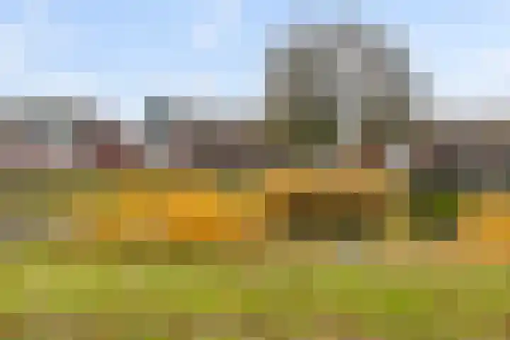 Batua 81 Huissen thumbnail 30