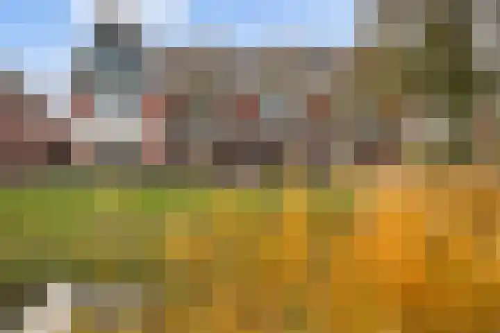 Batua 81 Huissen thumbnail 31