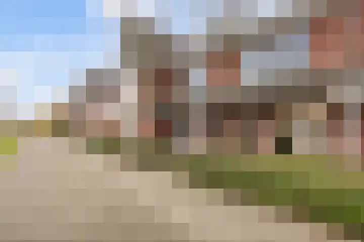 Batua 81 Huissen thumbnail 33