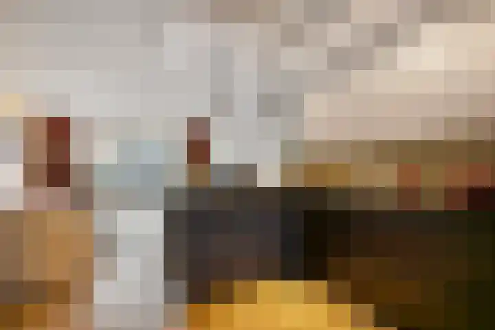 Batua 81 Huissen thumbnail 6