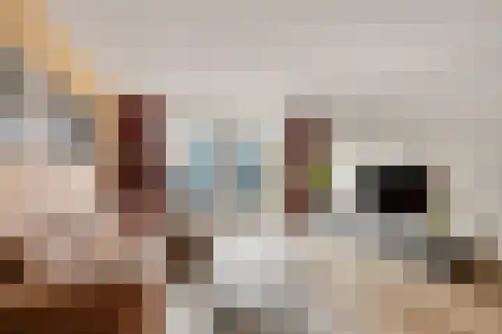 Batua 81 Huissen thumbnail 8