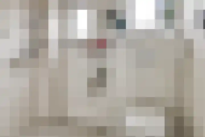 Batuwseweg 3 Lopikerkapel thumbnail 15