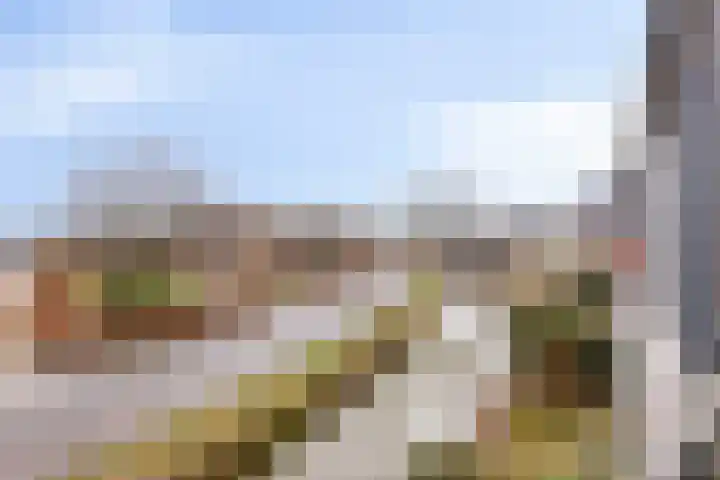 Batuwseweg 3 Lopikerkapel thumbnail 18