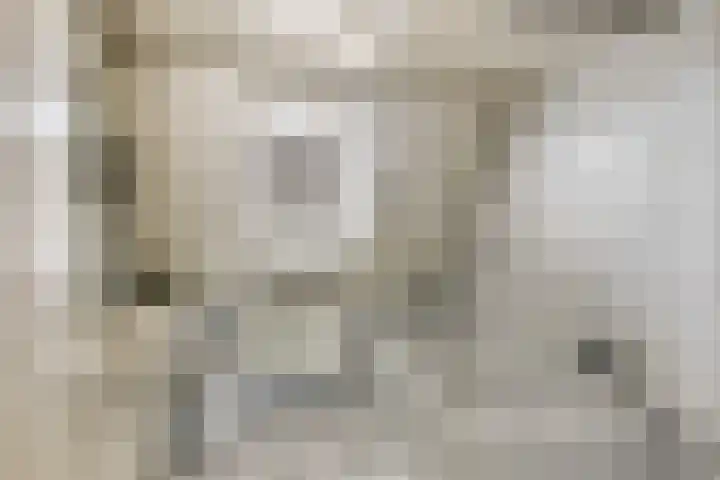 Batuwseweg 3 Lopikerkapel thumbnail 19