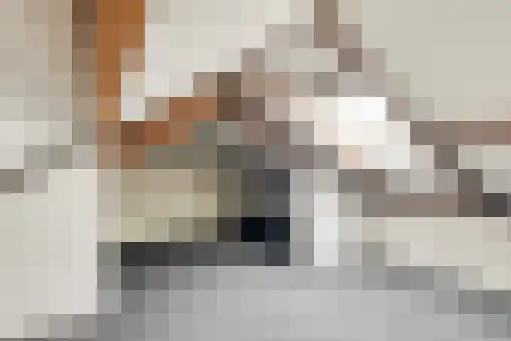 Batuwseweg 3 Lopikerkapel thumbnail 24