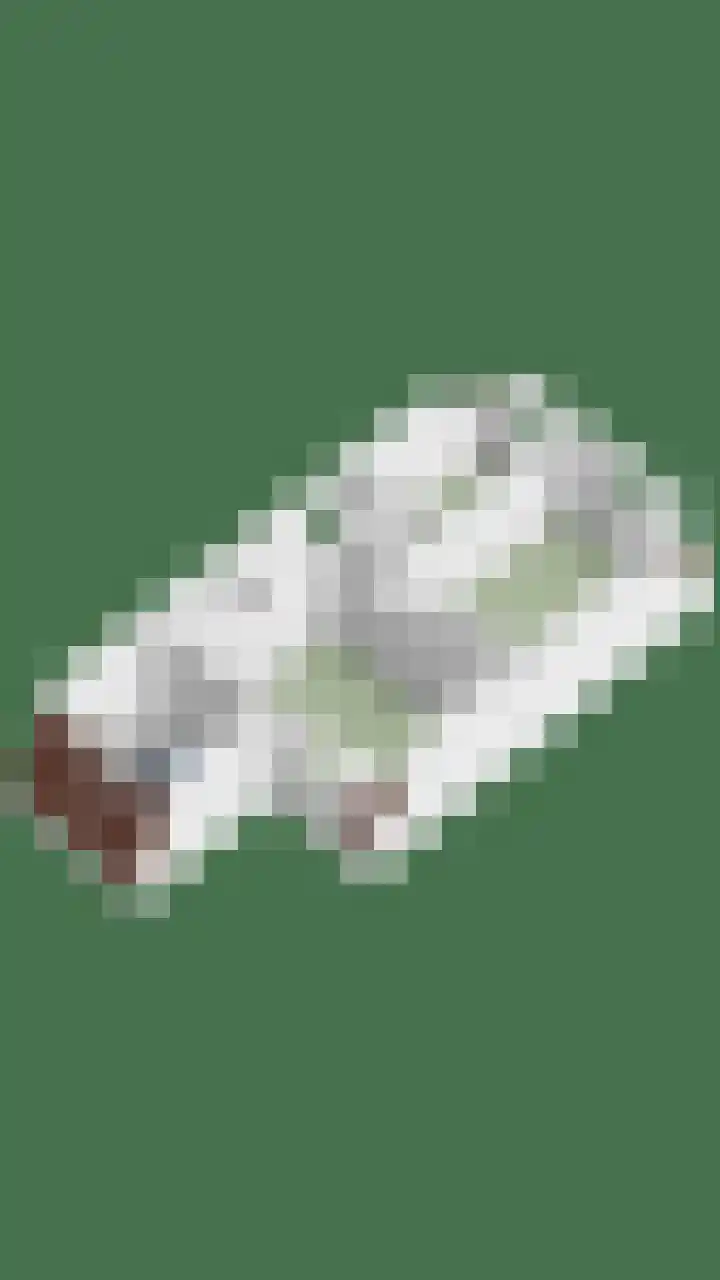 Batuwseweg 3 Lopikerkapel thumbnail 33