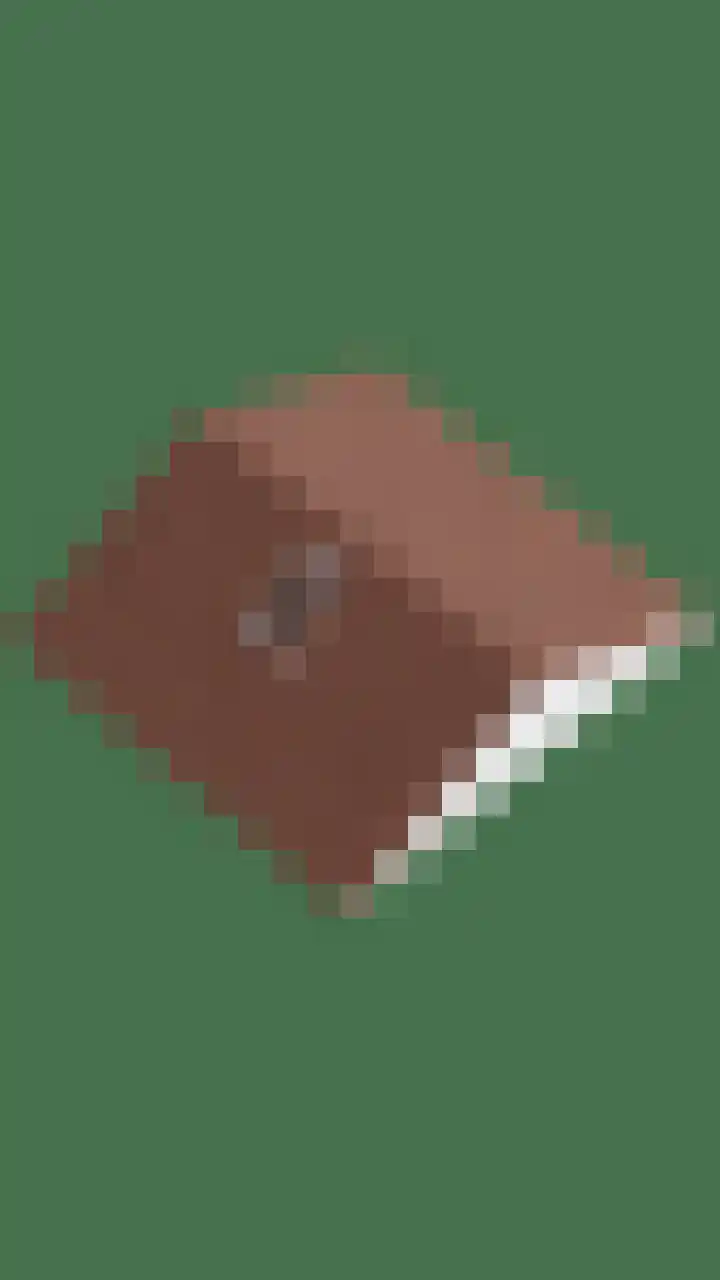 Batuwseweg 3 Lopikerkapel thumbnail 35
