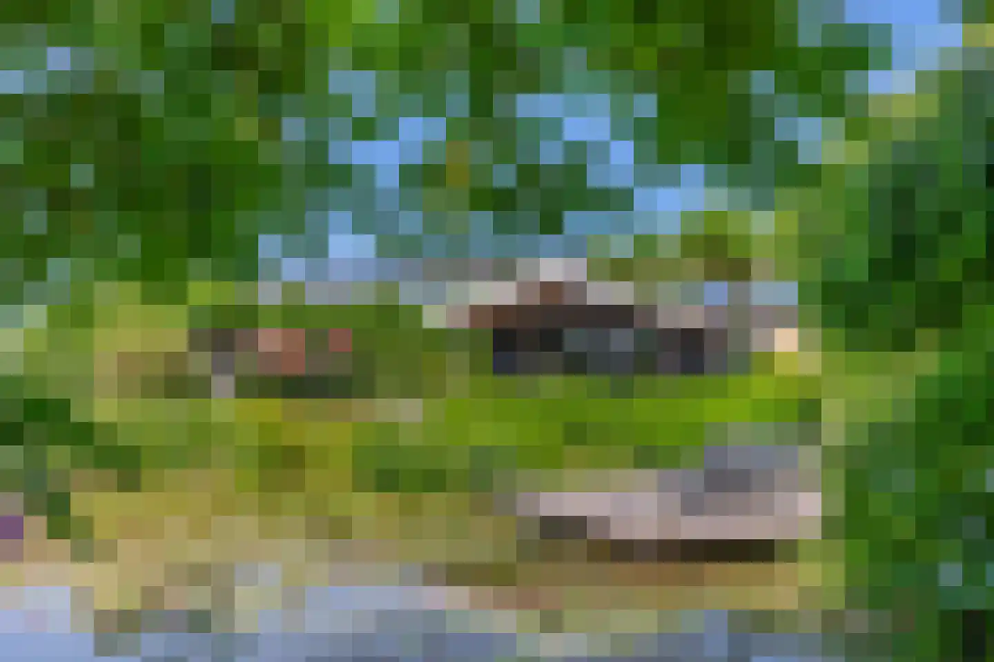 Batuwseweg 43 Lopikerkapel thumbnail 14