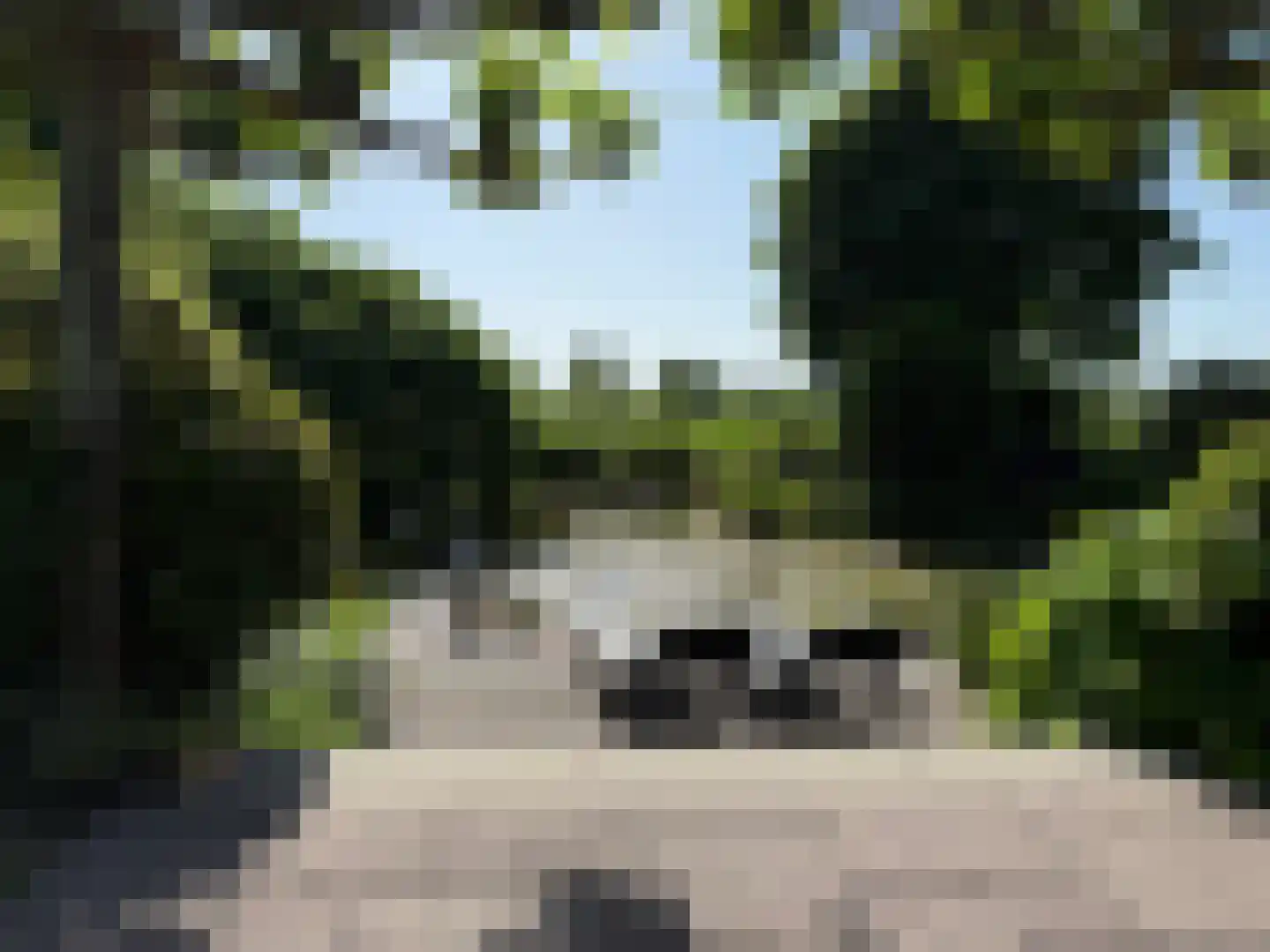 Batuwseweg 43 Lopikerkapel thumbnail 15
