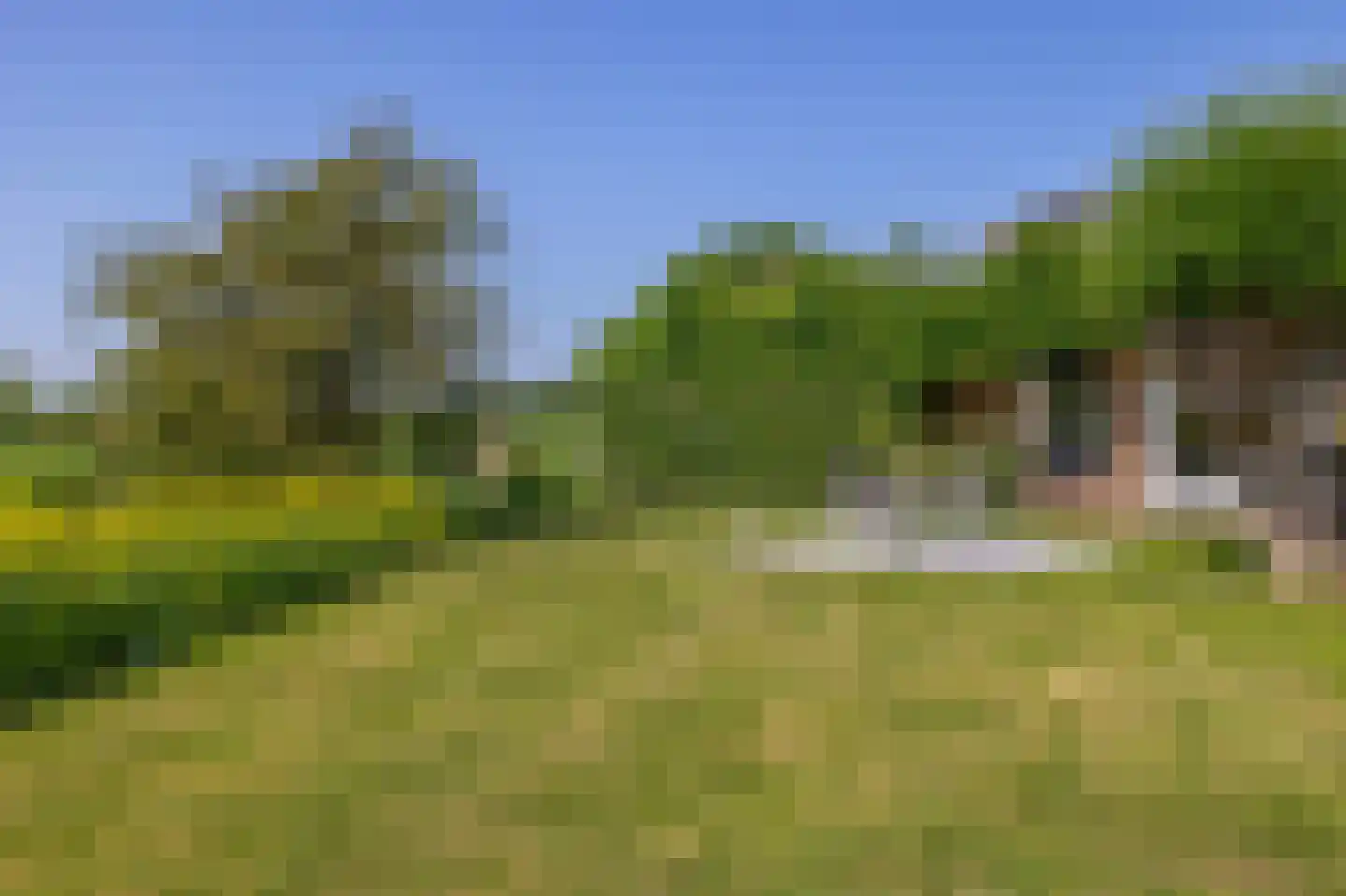 Batuwseweg 43 Lopikerkapel thumbnail 16