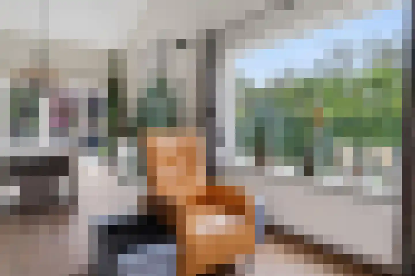 Batuwseweg 43 Lopikerkapel thumbnail 25