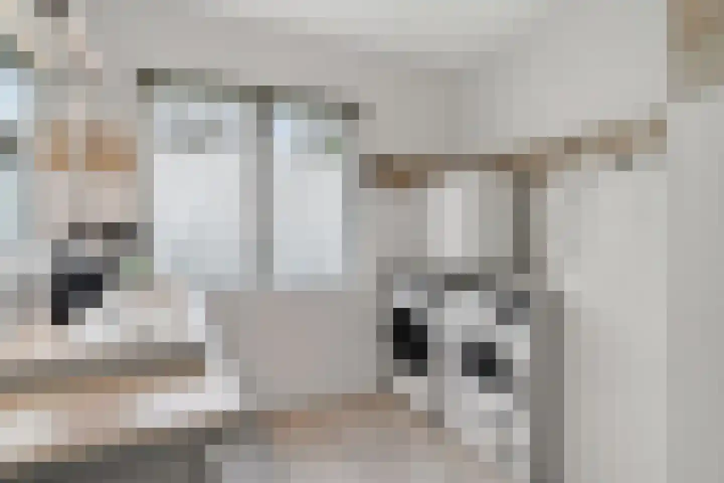 Batuwseweg 43 Lopikerkapel thumbnail 37