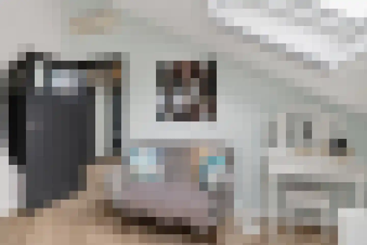 Batuwseweg 43 Lopikerkapel thumbnail 47
