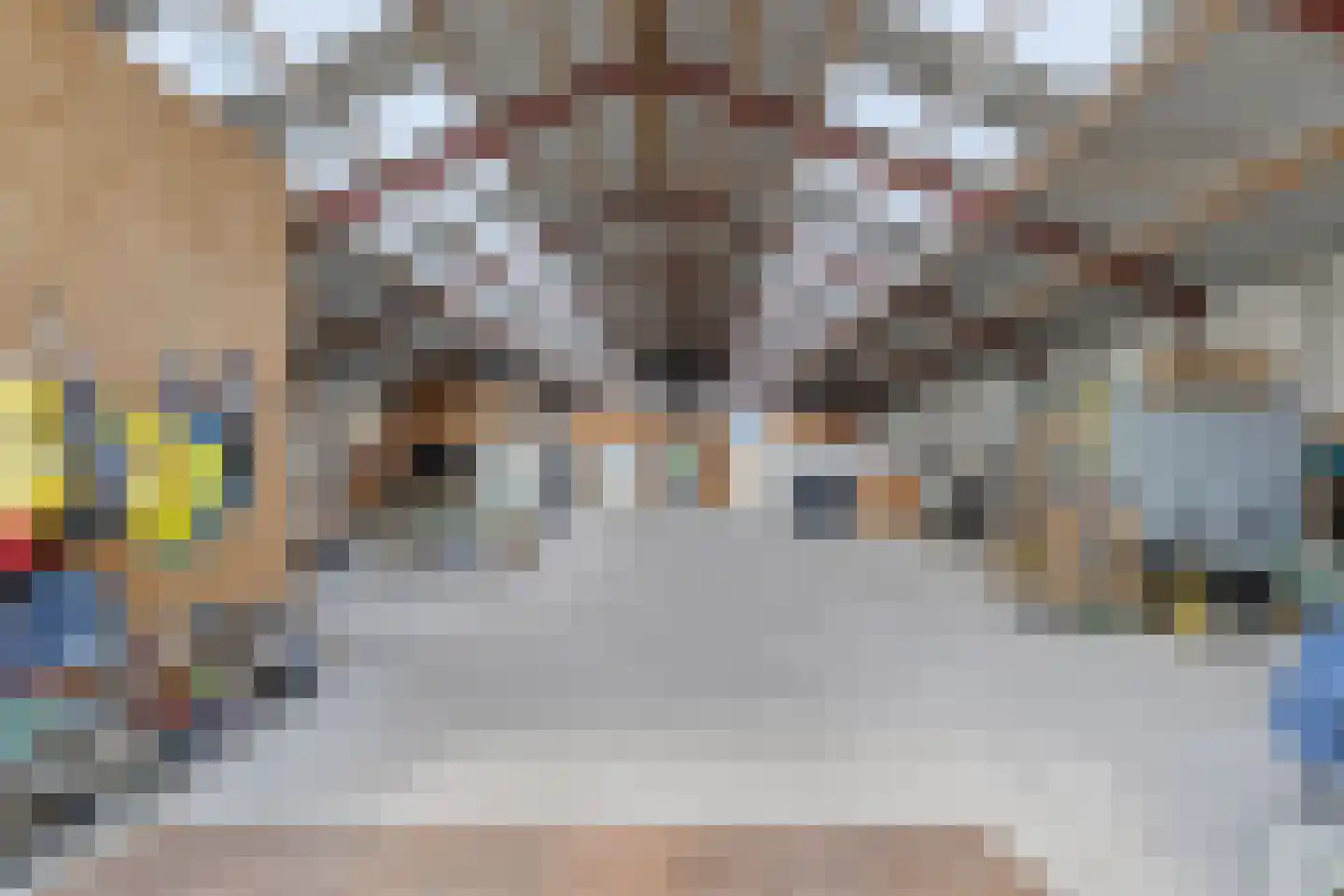 Batuwseweg 43 Lopikerkapel thumbnail 69