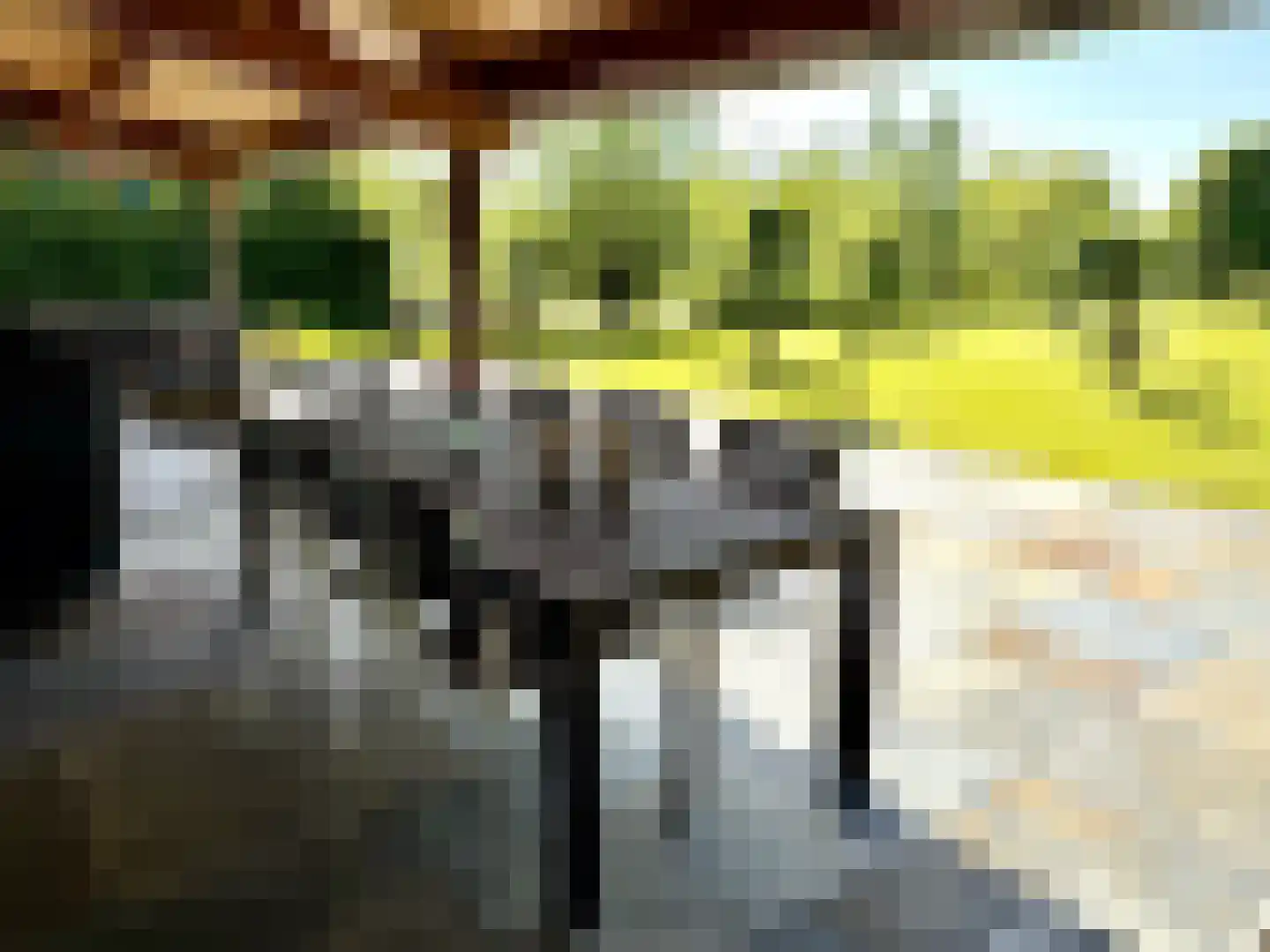 Batuwseweg 43 Lopikerkapel thumbnail 7