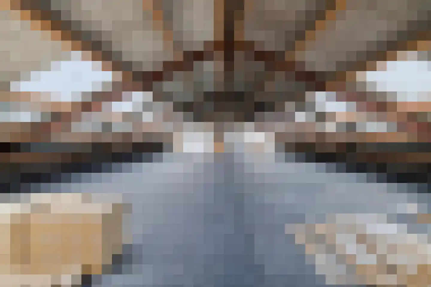 Batuwseweg 43 Lopikerkapel thumbnail 70