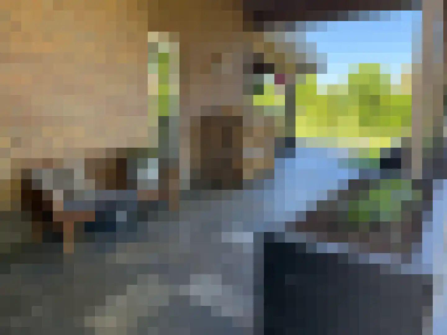 Batuwseweg 43 Lopikerkapel thumbnail 8