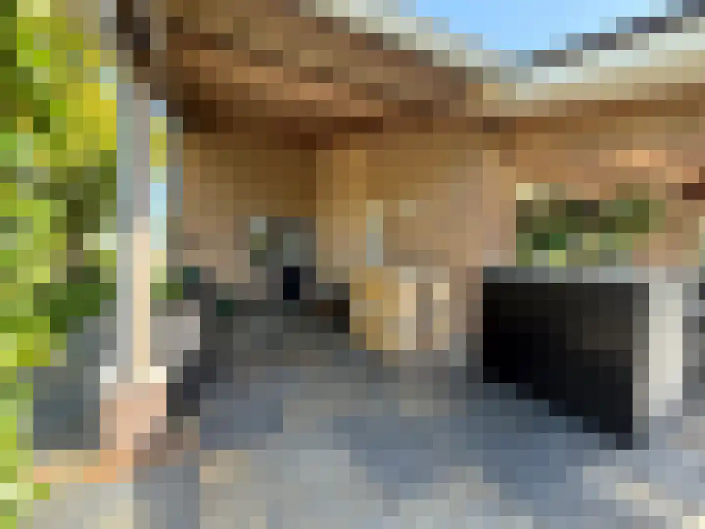 Batuwseweg 43 Lopikerkapel thumbnail 9
