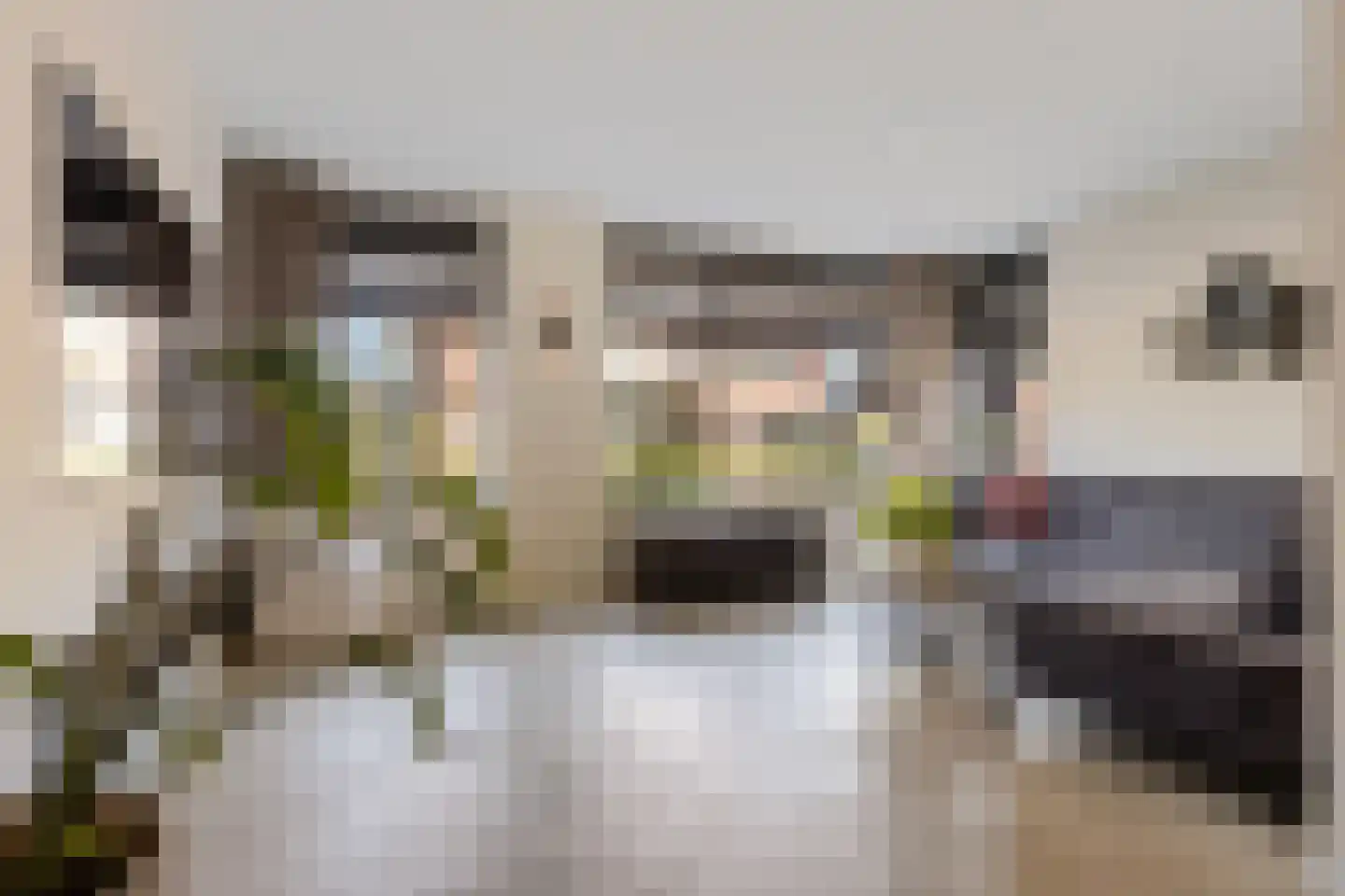 Bauckeshof 10 Sneek thumbnail 11
