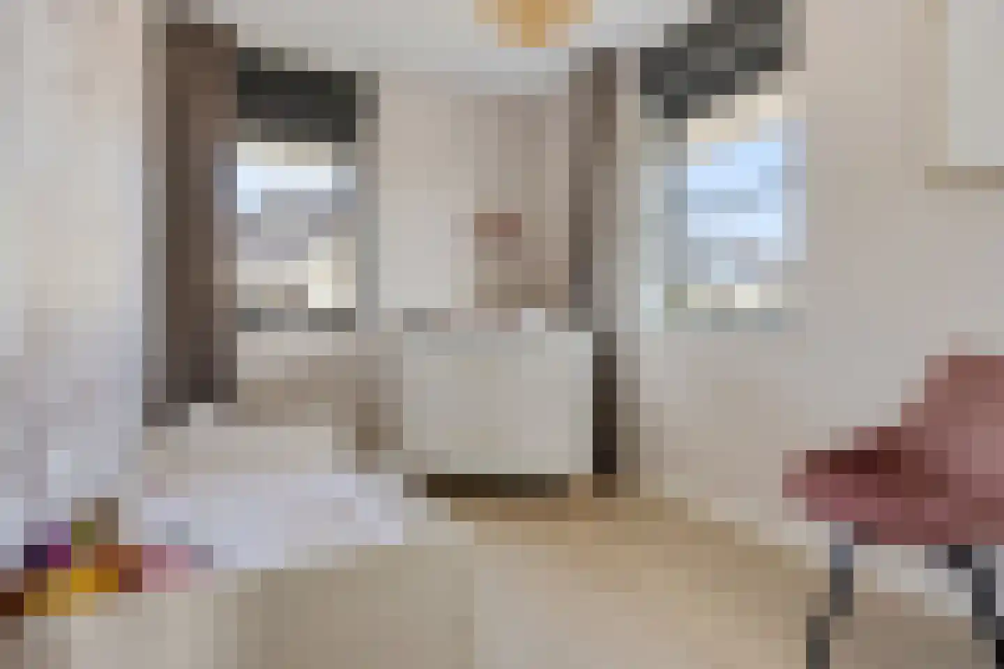 Bauckeshof 10 Sneek thumbnail 27