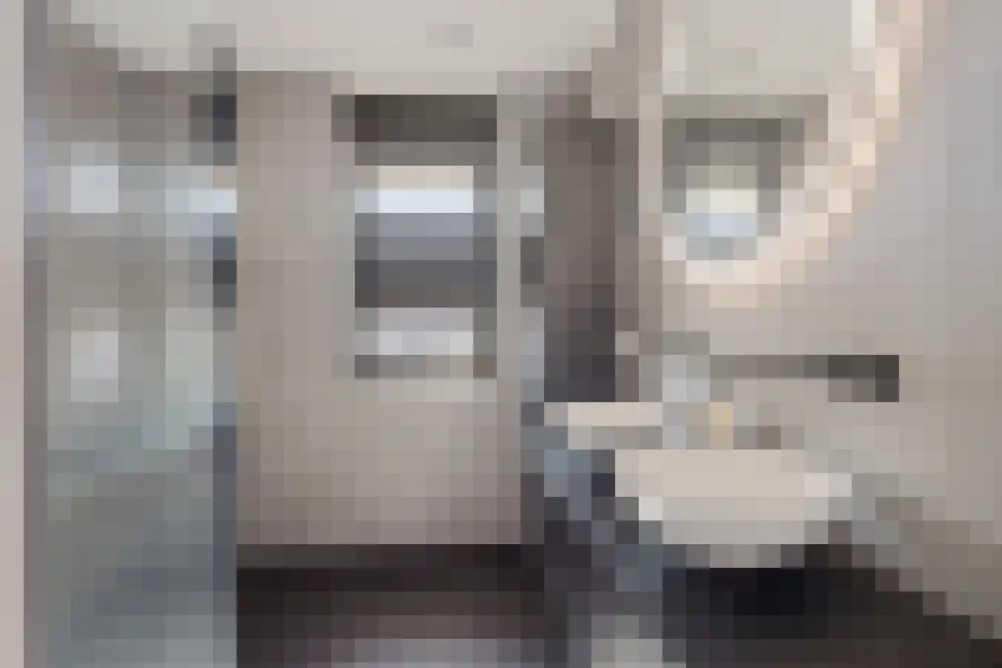 Bauckeshof 10 Sneek thumbnail 29