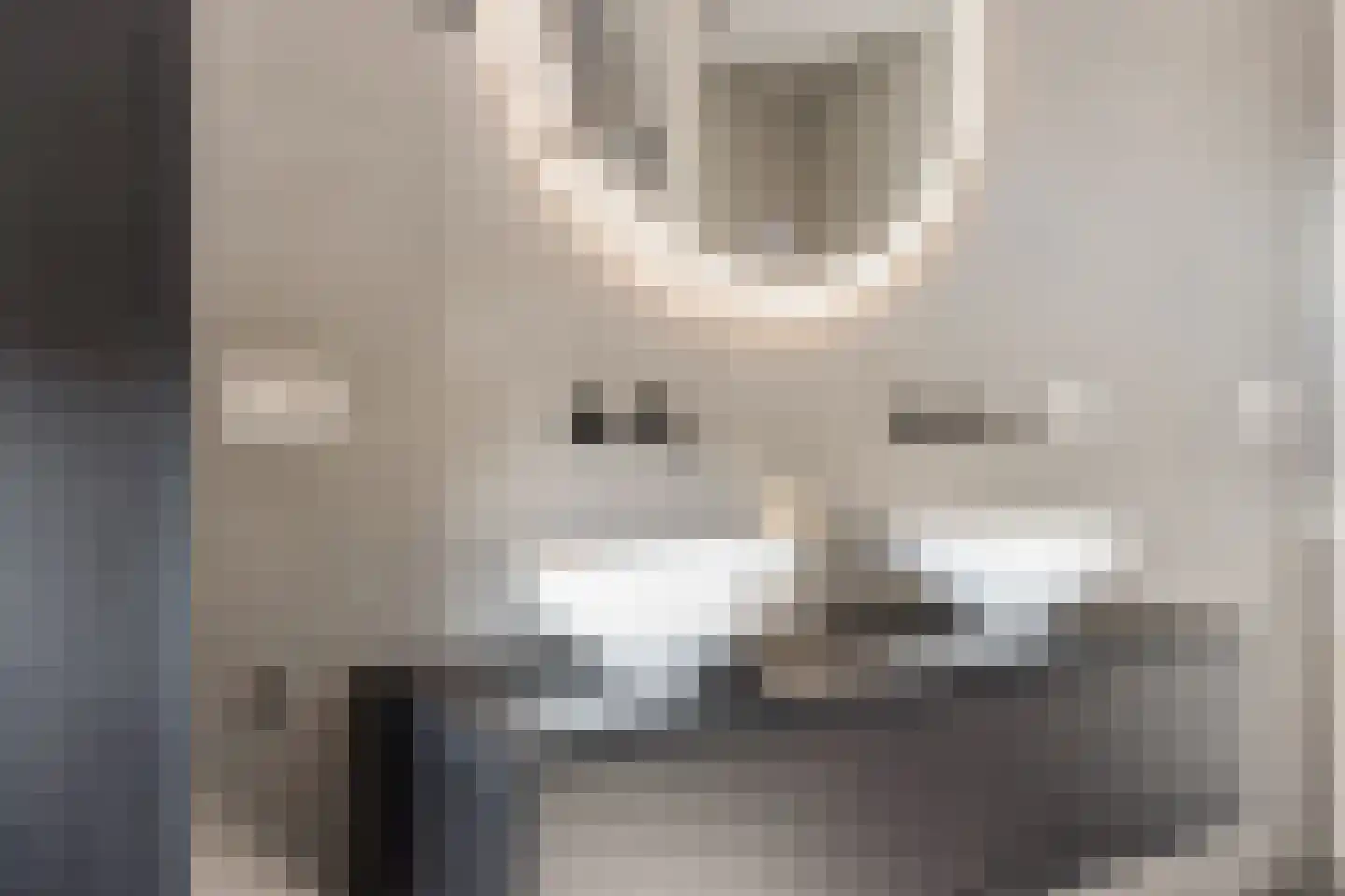 Bauckeshof 10 Sneek thumbnail 30