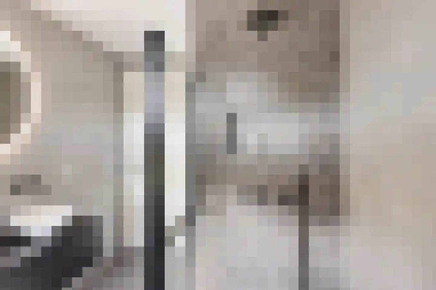 Bauckeshof 10 Sneek thumbnail 31