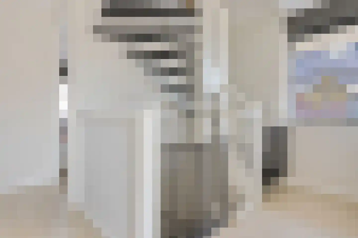 Bauckeshof 10 Sneek thumbnail 33