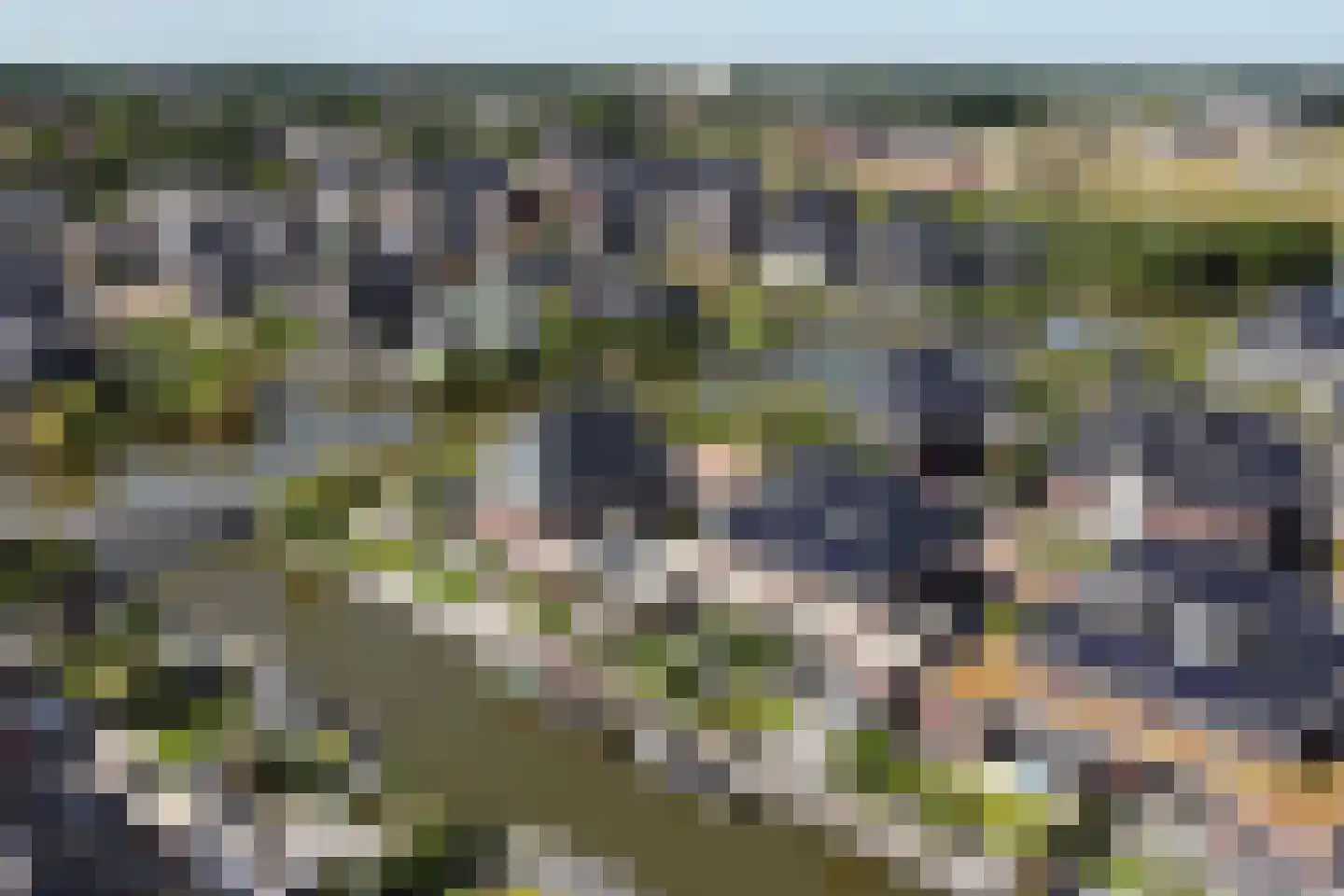 Bauckeshof 10 Sneek thumbnail 4