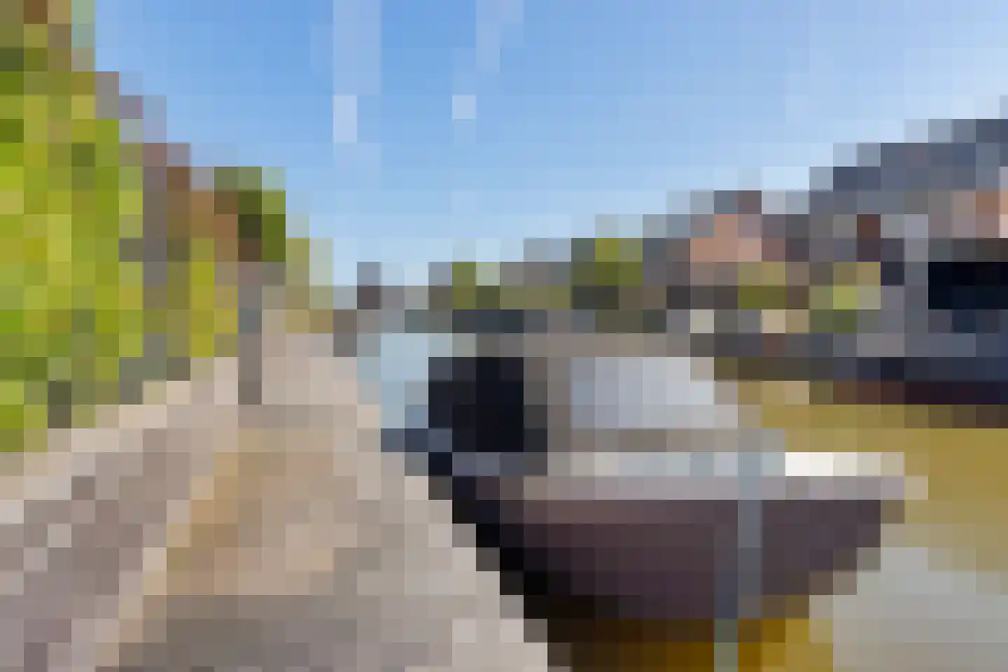 Bauckeshof 10 Sneek thumbnail 41