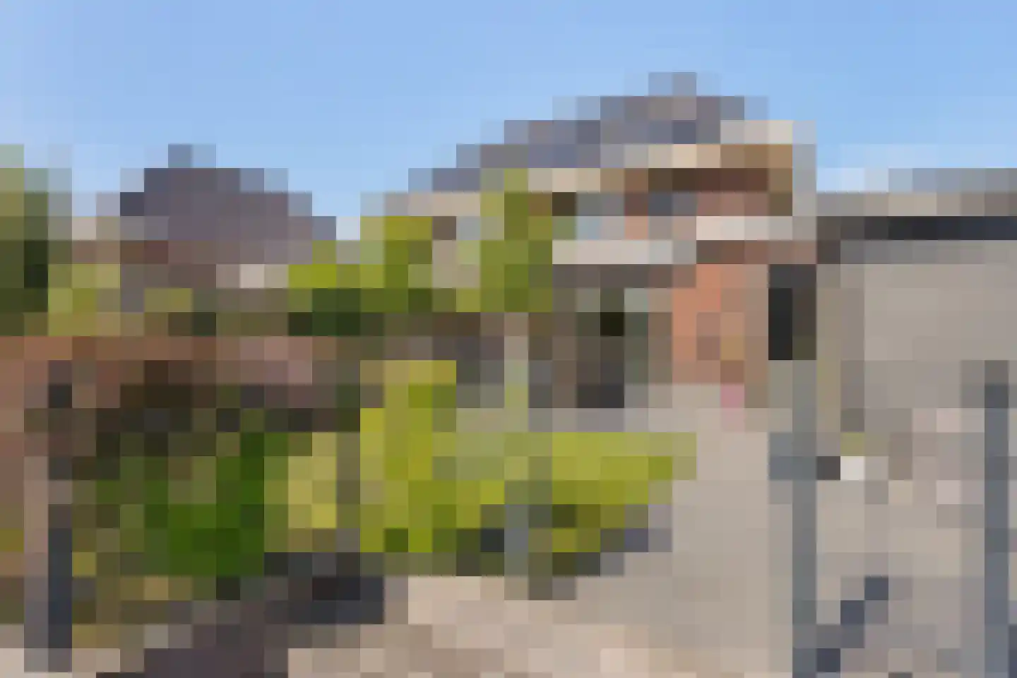 Bauckeshof 10 Sneek thumbnail 43