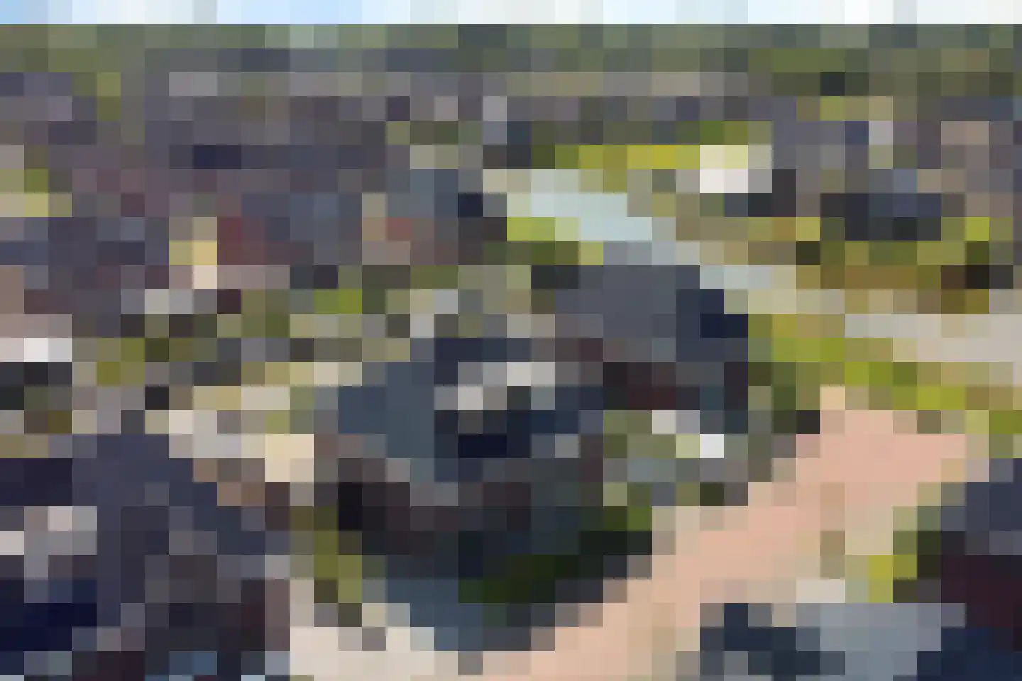 Bauckeshof 10 Sneek thumbnail 5