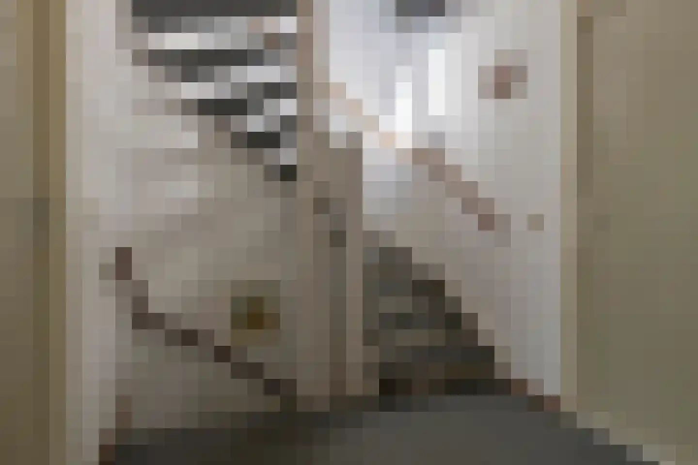 Baudeloo 15 Hulst thumbnail 23