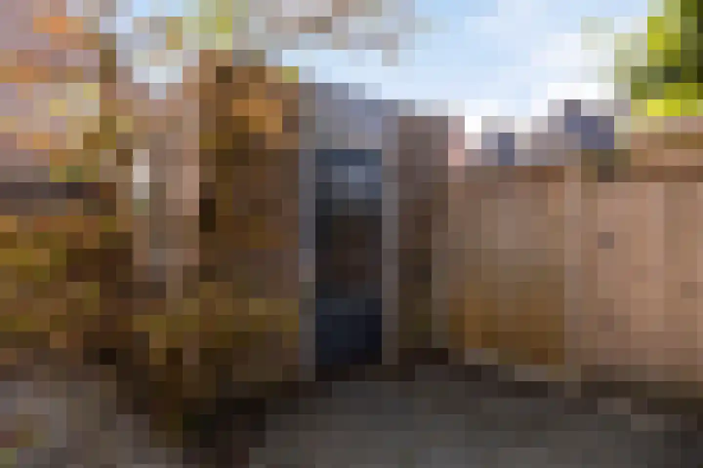 Baudeloo 15 Hulst thumbnail 39