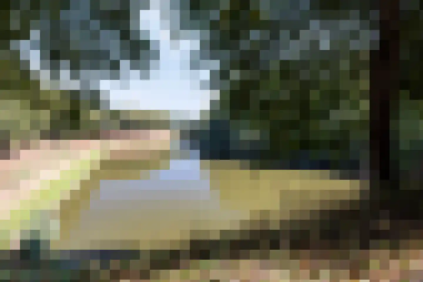 Baudeloo 15 Hulst thumbnail 47