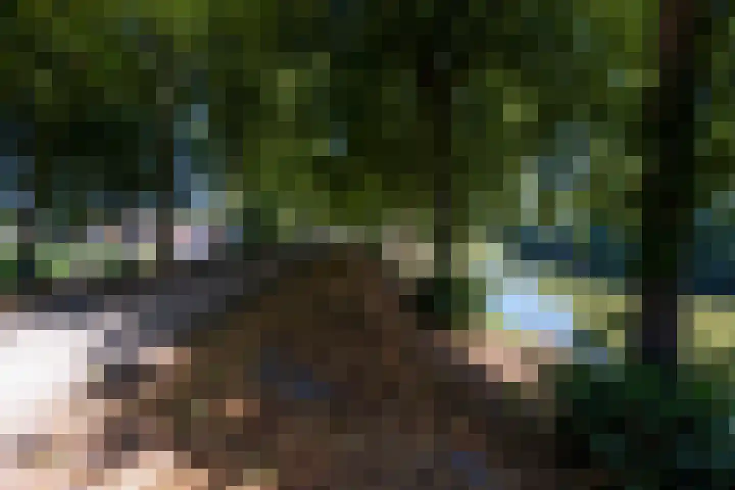 Baudeloo 15 Hulst thumbnail 48