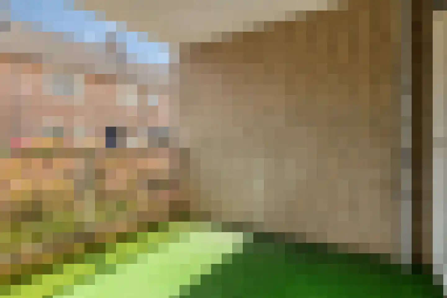 Baudeloo 34 Hulst thumbnail 25