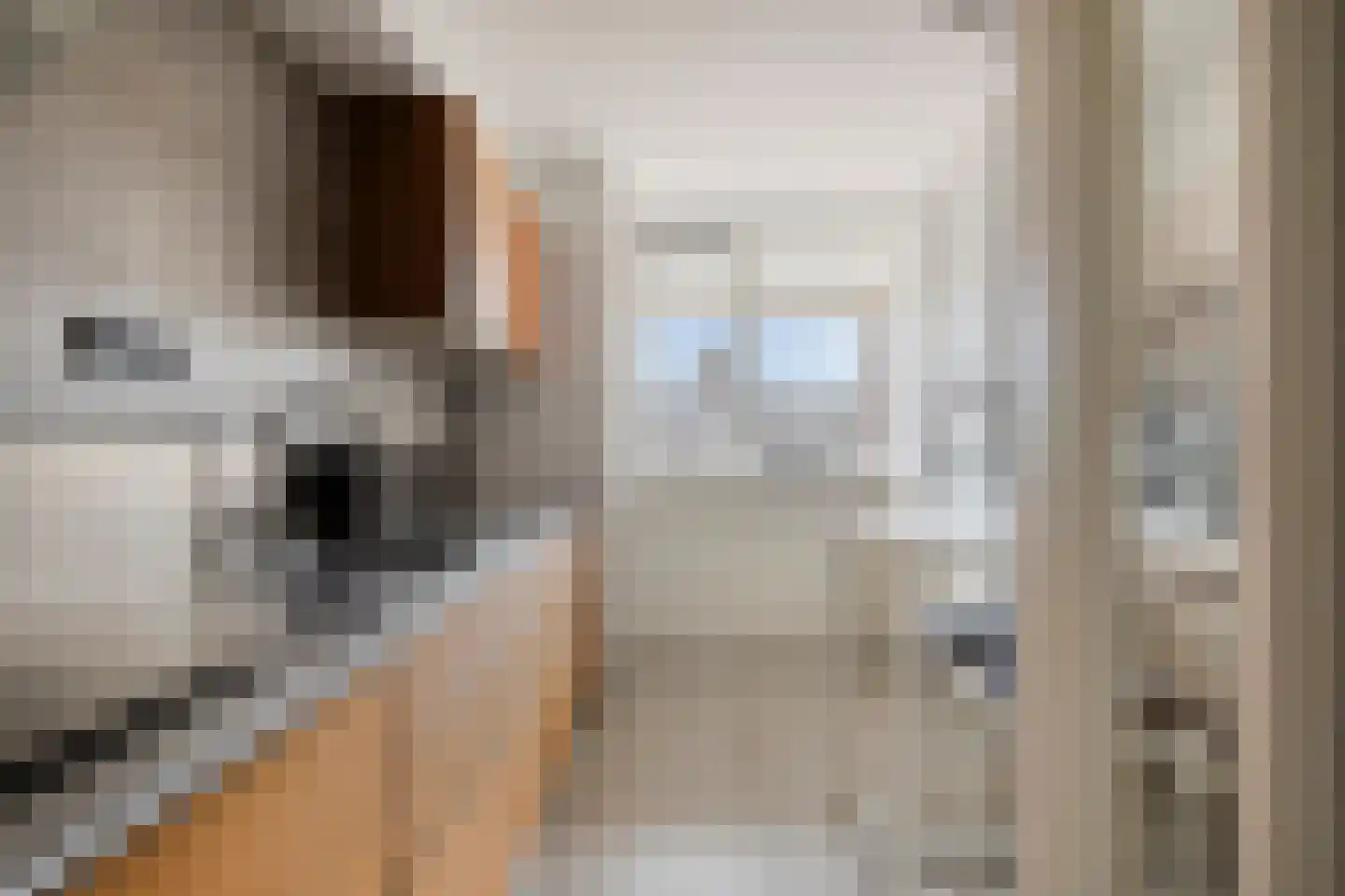 Baudeloo 36 B Hulst thumbnail 17