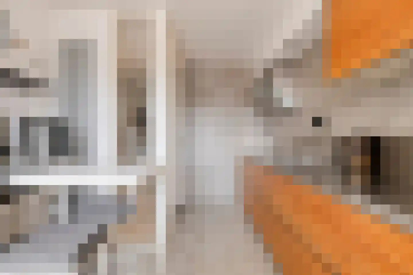 Baudeloo 36 B Hulst thumbnail 18