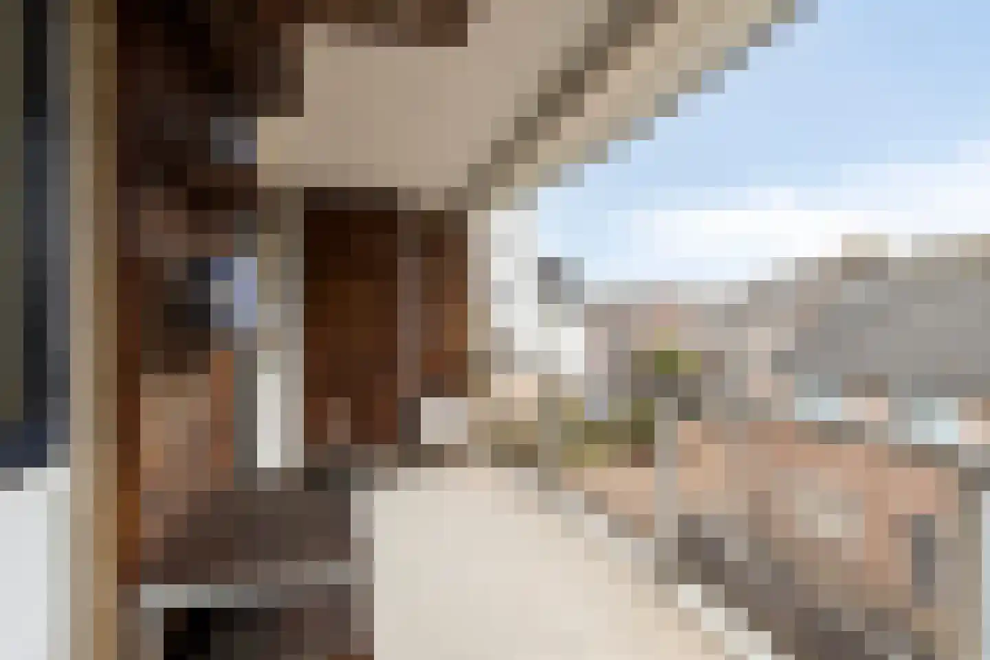 Baudeloo 36 B Hulst thumbnail 26