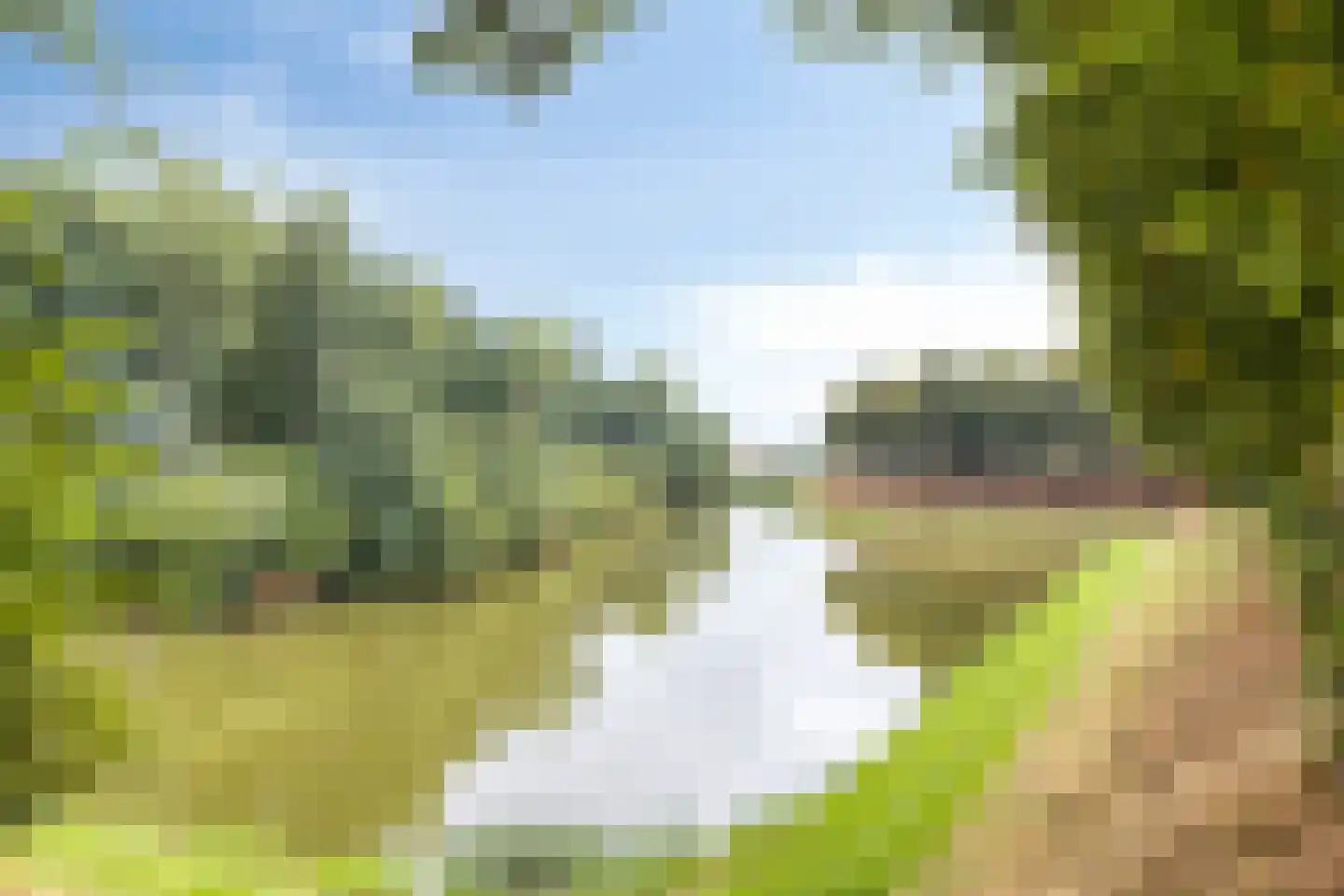 Baudeloo 36 B Hulst thumbnail 29