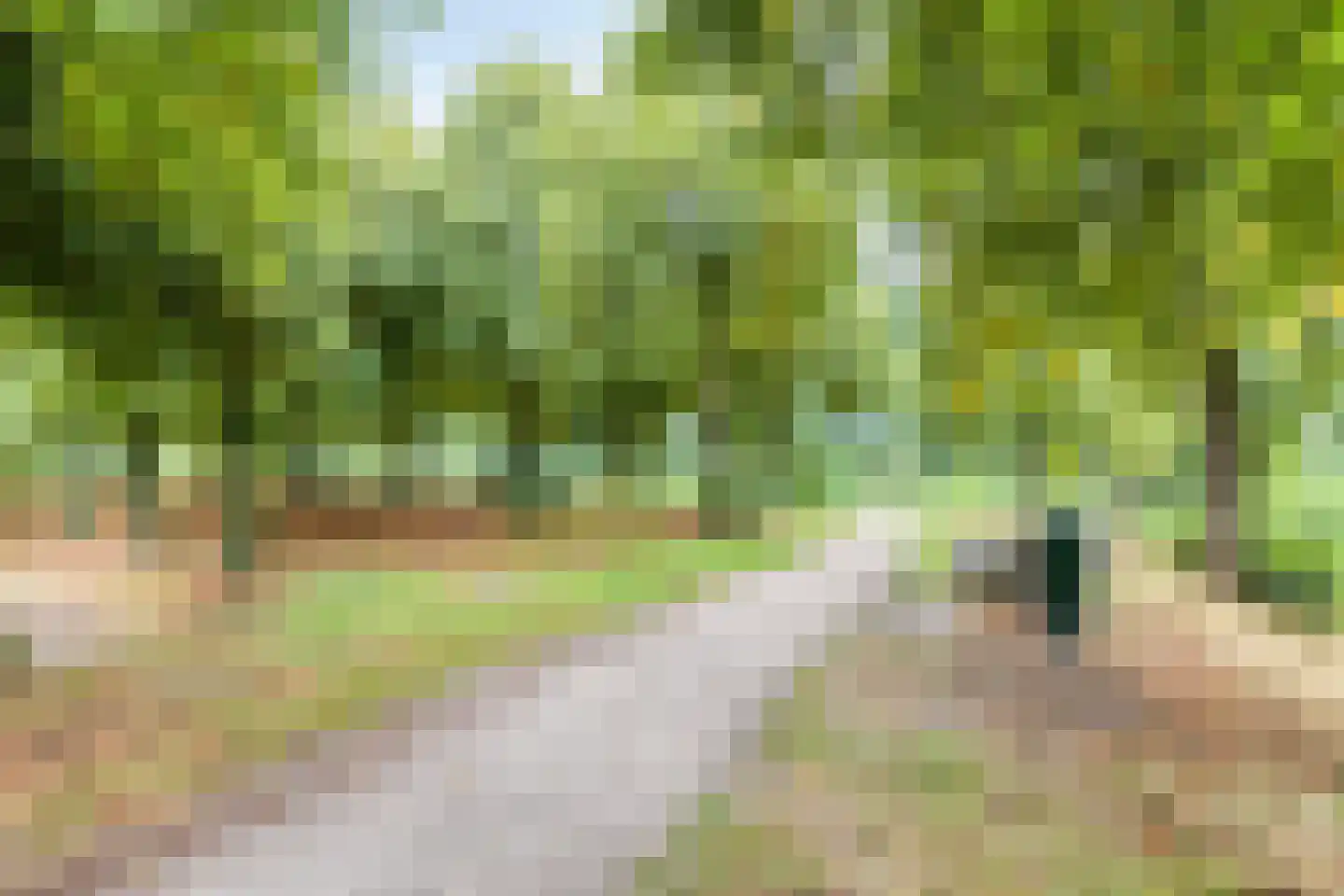 Baudeloo 36 B Hulst thumbnail 30