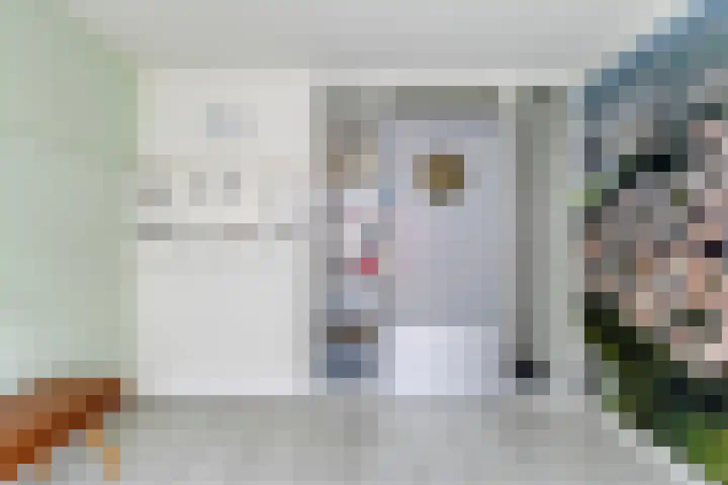Baudeloo 36 B Hulst thumbnail 8