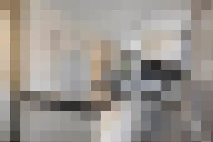 Baudevoort 20 Helmond thumbnail 12