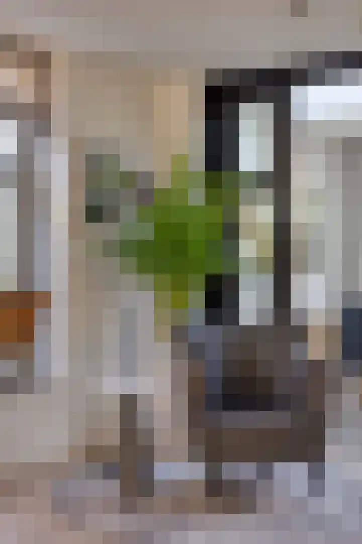 Baudevoort 20 Helmond thumbnail 14