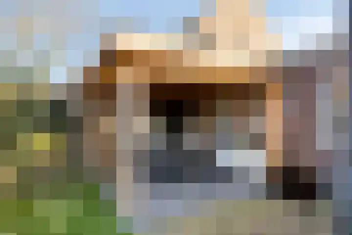 Baudevoort 20 Helmond thumbnail 25
